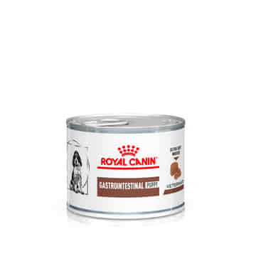 Gastrointestinal Puppy Ultra Soft Mousse - Boîte