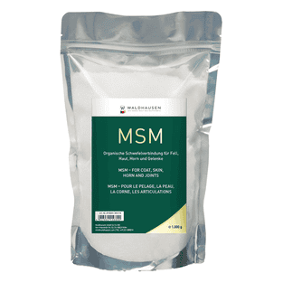 MSM