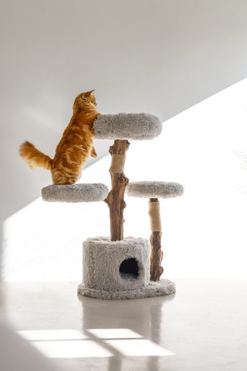 Arbre à chat en bois Ziza