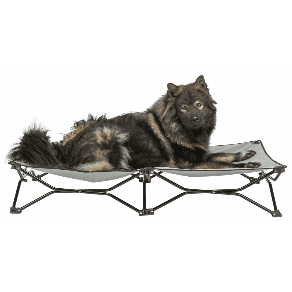 Camping-Bett Strong Edition beige/schwarz