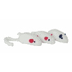 Souris en peau d’agneau