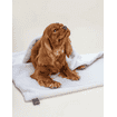 Couverture pour animaux Calm Eco Bouclé