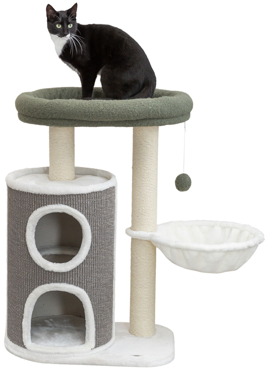 Arbre à chat Dante