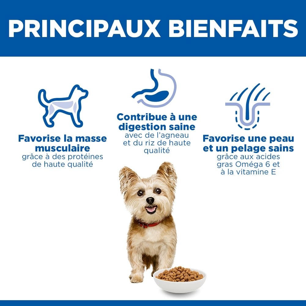 Canine Adult Small+Mini Breed Agneau &amp; Riz
