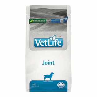 Canine Joint