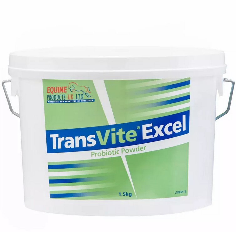 TransVite Excel