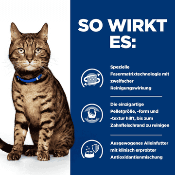 Feline t/d Dental Care