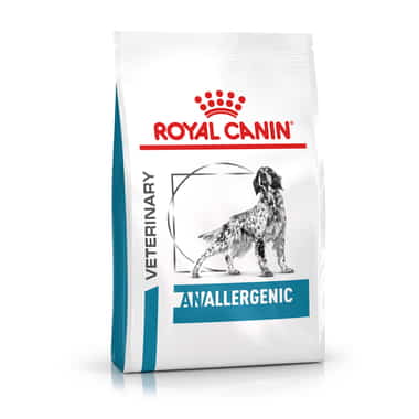 Anallergenic Dog