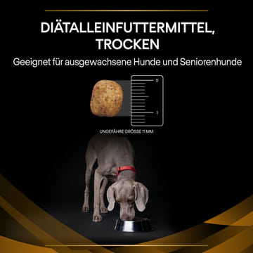 CANINE NF Renal Function