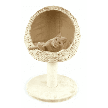 Katzenlounge Priochill