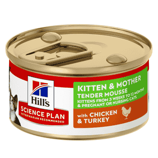 Kitten & Mother Tender Mousse
