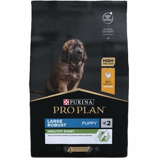 LARGE ROBUST PUPPY Healthy Start