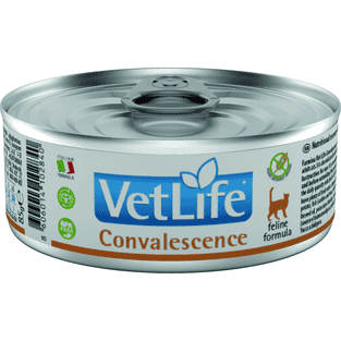 Feline Convalescence- boîte