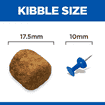 Canine Senior Vitality 6+ Large Breed