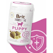 Vitamins Dog Puppy