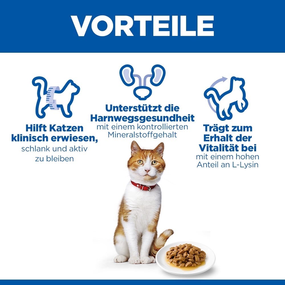 Feline Sterilised Cat Salmon - Frischebeutel