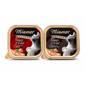 Delicatessen &amp; Fillet Senior