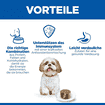 Canine Small & Mini Breed Mature Adult Beef - Dose
