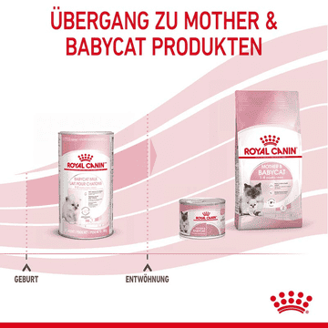Babycat Milk