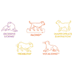 Zenidog Halsband