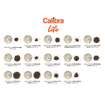 Life Adult Large Breed Lamm & Reis