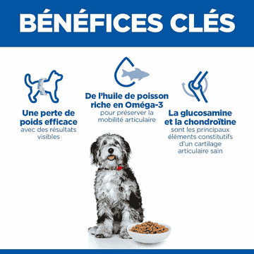 Canine Perfect Weight + Active Mobility Medium Breed