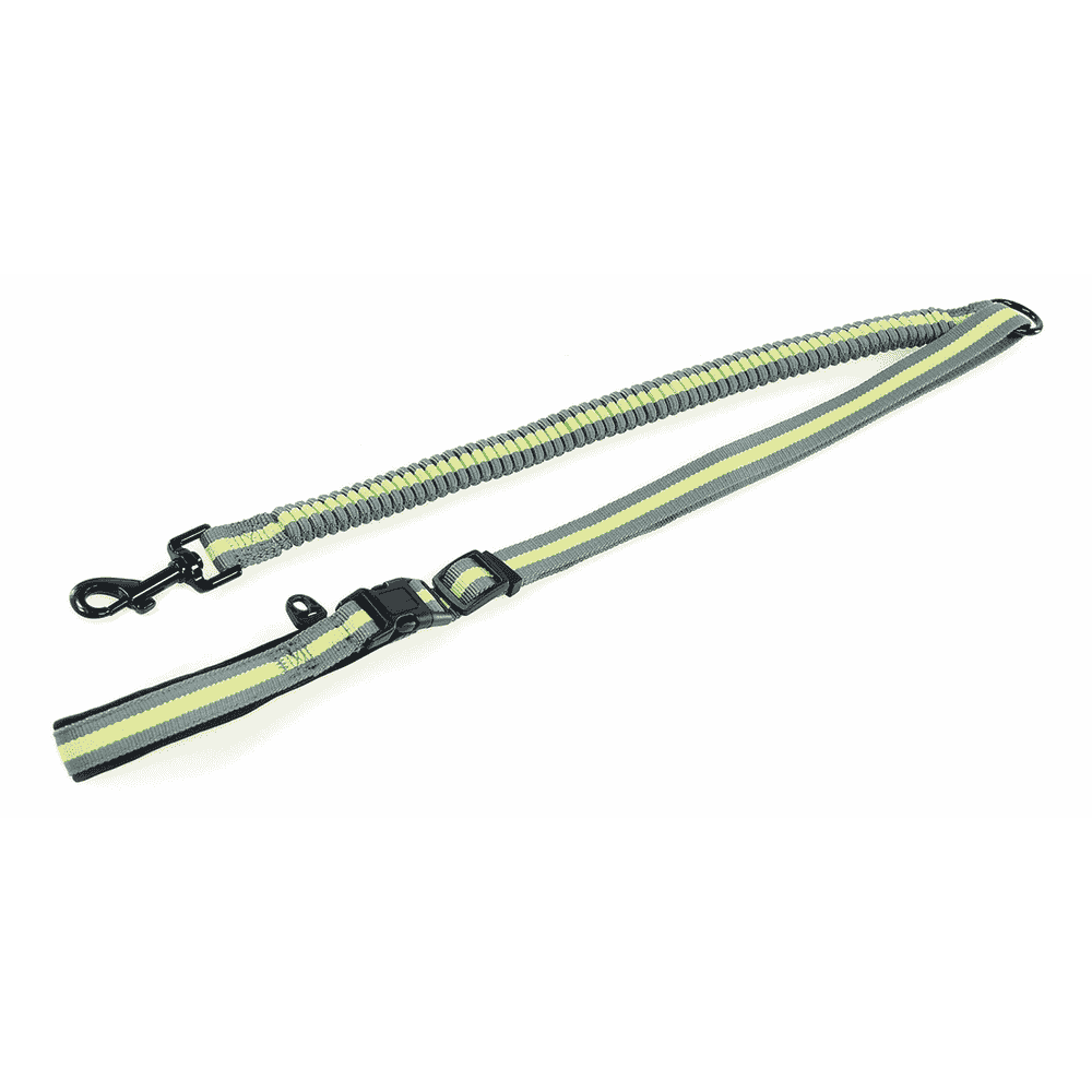TrendLine Leine elastisch NEON