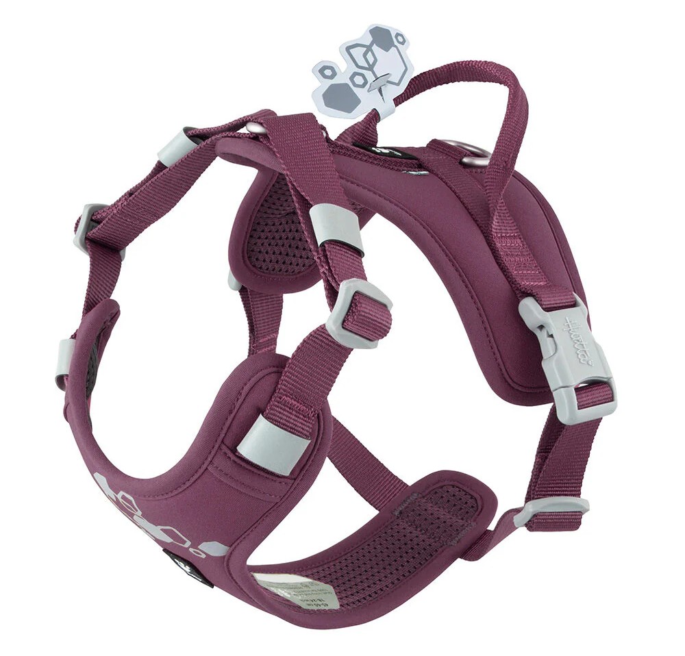 Weekend Warrior Geschirr II ECO Aubergine