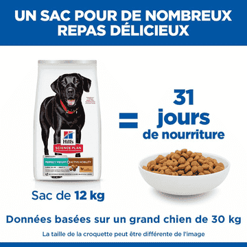 Canine Perfect Weight + Active Mobility Large Breed
