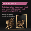 Cat Skin & Coat +