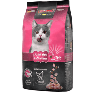 Adult Light Geflügel Cat