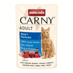 Carny Adult Cat