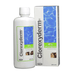 Clorexyderm Shampoo 4 %