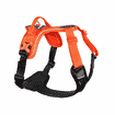 Ramble Harness Orange/Black
