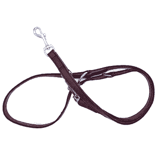 Laisse en cuir souple 180 cm