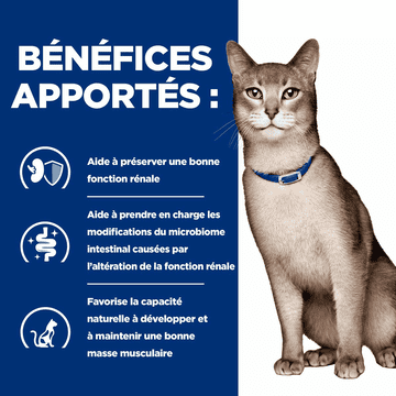 Feline k/d Kidney Care Chicken