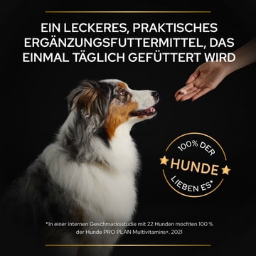 Dog Multivitamins +