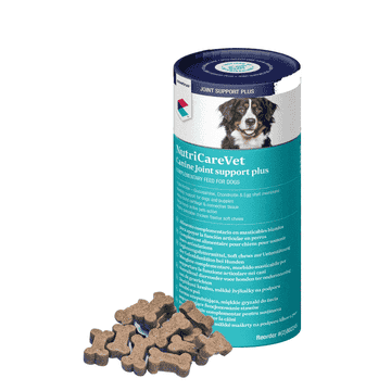 NutriCareVet Joint Support Plus Soft Chew