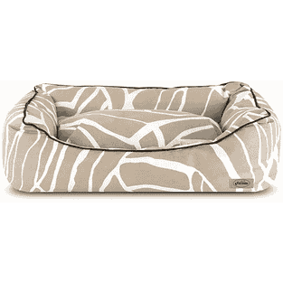 Byecteria ZEBRA