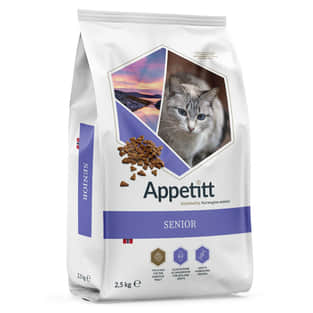 Cat Senior