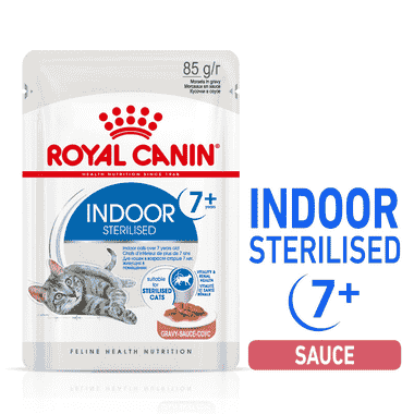 Indoor Cat 7+ en sachet