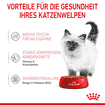 Kitten in  Sauce - Frischebeutel