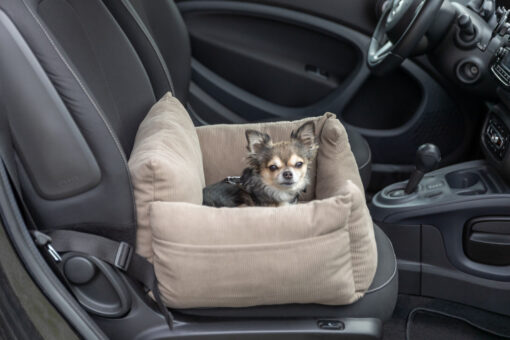 Siège de voiture, taupe