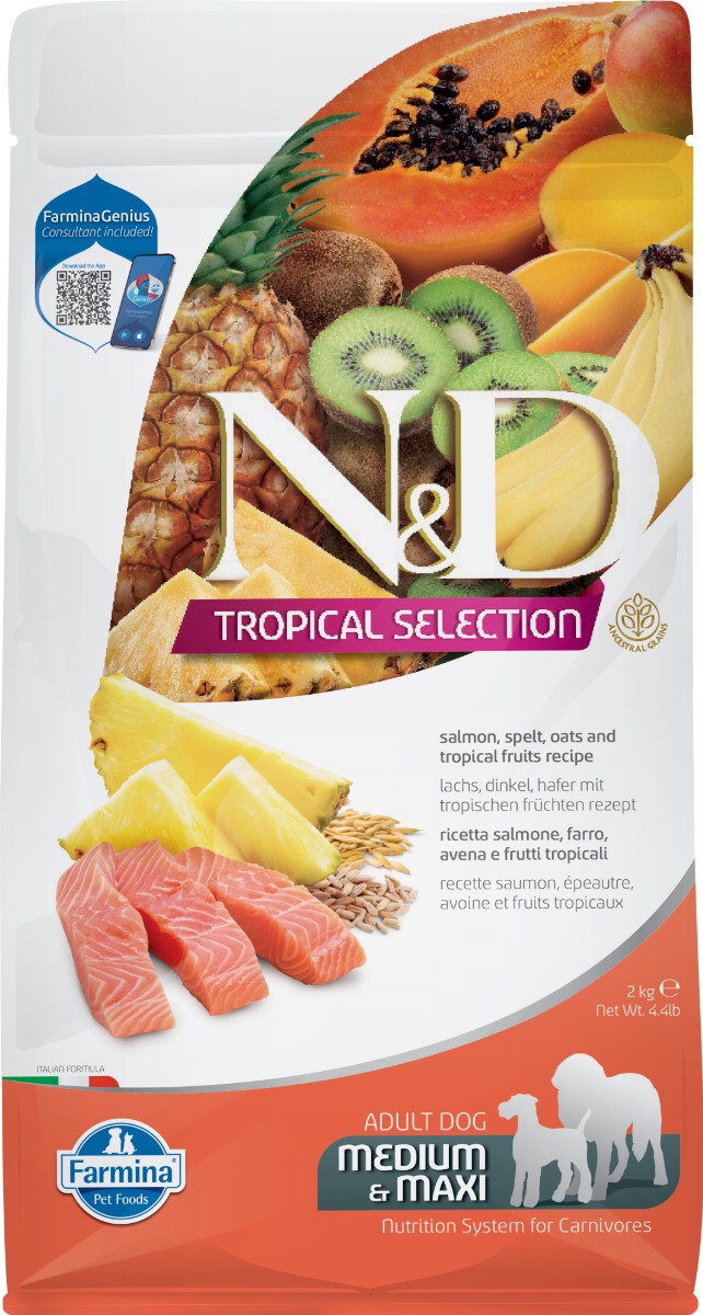 Canine Adult Medium/Maxi Lachs