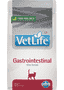 Feline Gastrointestinal