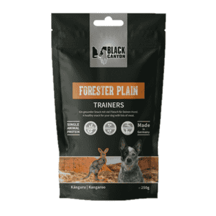 Trainers Foresters Plain Känguru