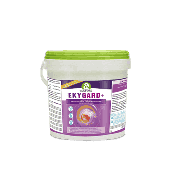 Ekygard +