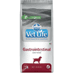 Canine Gastrointestinal