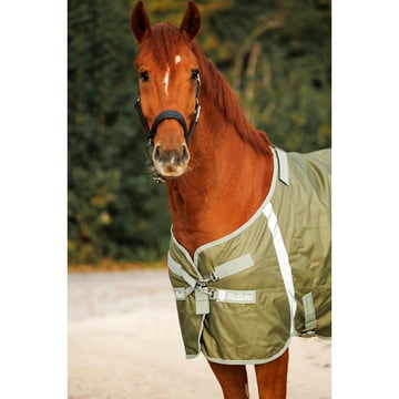 Grazing rug Denver 100 g - olive