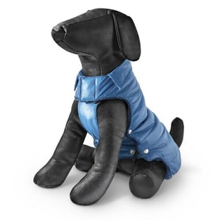 Manteau pour chien Moncler bleu